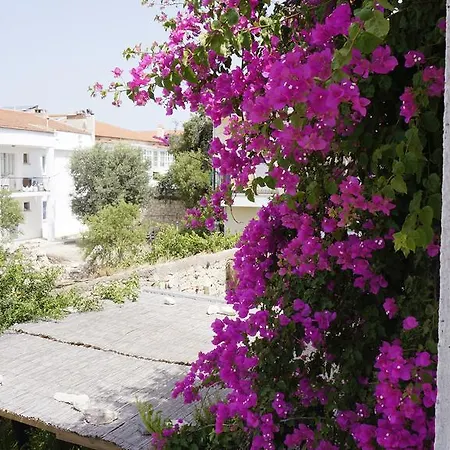 住宿加早餐酒店 Aladam 阿拉恰特