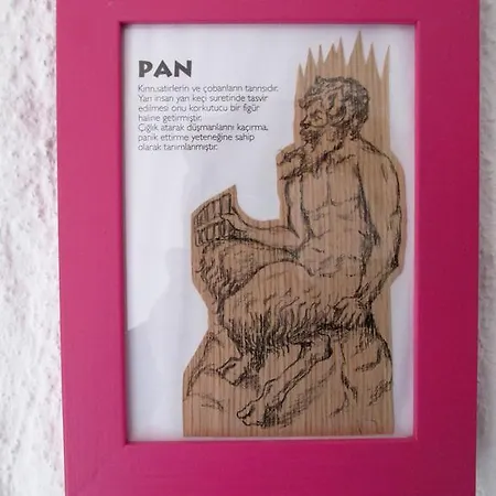 Aladam 住宿加早餐酒店 阿拉恰特