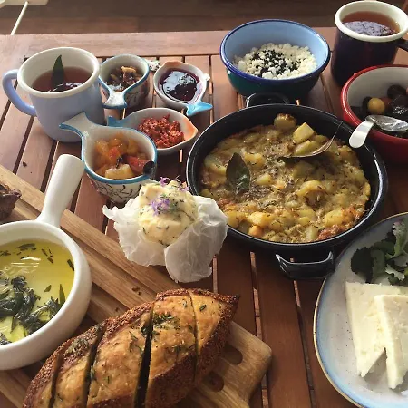 Aladam * 阿拉恰特