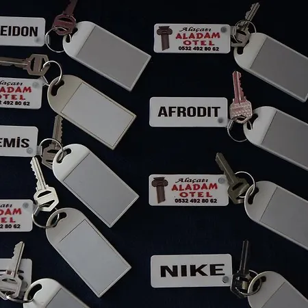 ベッド・アンド・ブレックファスト Aladam *